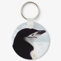 Chinstrap Penguin Portrait keychains by KevOzDotCom Chinstrap Penguin Portrait keychains