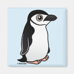 Chinstrap Penguin Refrigerator Magnets