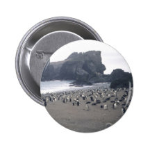 Chinstrap Penguins on Seal Island Button