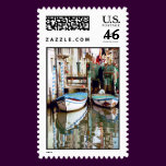 chioggia