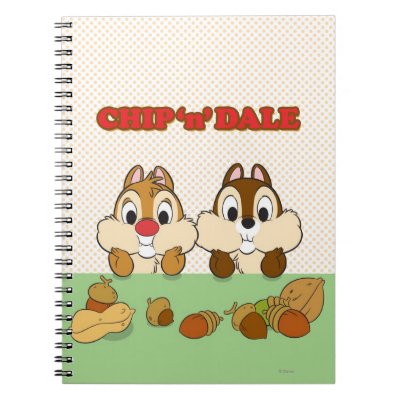 Chip and Dale notebooks