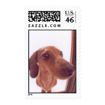 Chip Nose Postage Stamp