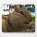 Chipmonk Close-Up mousepads by Mike_Montalvo Chipmonk Close-Up mousepads