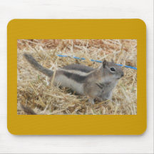 Chipmunk 2 Mousepad