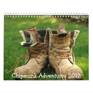 Chipmunk Adventures 2012 Calendar calendar