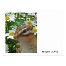 Chipmunk and Support JAPAN Post Cards