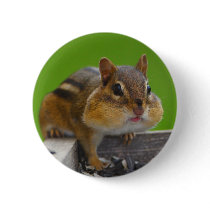 chipmunk buttons