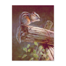 CHIPMUNK by SHARON SHARPE postcards