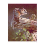 CHIPMUNK by SHARON SHARPE Postcards