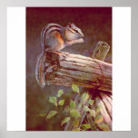 CHIPMUNK by SHARON SHARPE posters