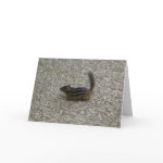 Chipmunk card