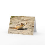 Chipmunk  cards