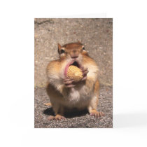 Chipmunk Card by ForTheAnimals Chipmunk Card