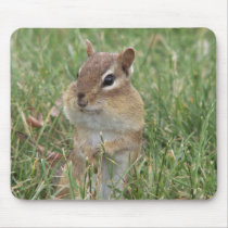 Chipmunk Cheeks Mouse Pad mousepads