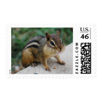 Chipmunk Cheeks postage