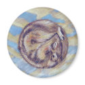 Chipmunk Dreams magnets by MJLemieurDesigns Chipmunk Dreams magnets
