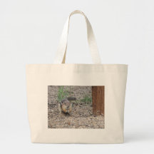 Chipmunk Feeding on Ground Bag