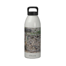 Chipmunk Feeding on Ground Water Bottles