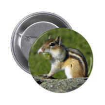 Chipmunk_grape Pinback Button