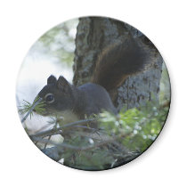 "CHIPMUNK IN PARADISE" Photo Magnet