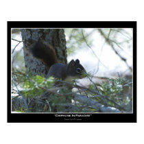 "CHIPMUNK IN PARADISE" Photo Poster posters