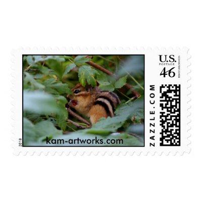 Chipmunk in raspberries Postage by kmullarney