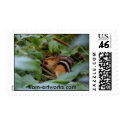 Chipmunk in raspberries Postage postage