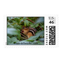 Chipmunk in raspberries Postage postage