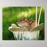 Chipmunk in Take-out container Poster