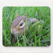 Chipmunk In The Grass Mousepad