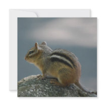 Chipmunk Invitations