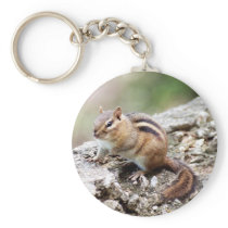 Chipmunk Keychain