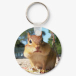 Chipmunk Keychain
