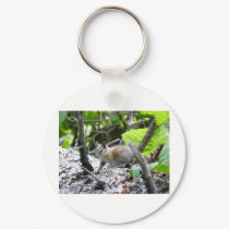 chipmunk keychains by pinkypetals chipmunk keychains