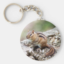Chipmunk Keychain