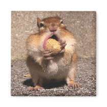 Chipmunk - Magnet by ForTheAnimals Chipmunk - Magnet