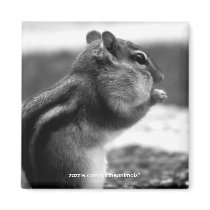 Chipmunk -Magnet by ForTheAnimals Chipmunk -Magnet