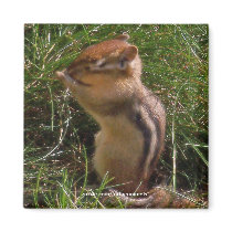 Chipmunk -Magnet by ForTheAnimals Chipmunk -Magnet
