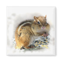 Chipmunk