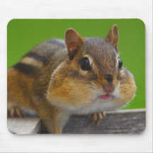 Chipmunk Mouse Pads