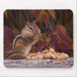 Chipmunk - mousepad