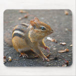 Chipmunk Mousepad