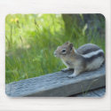 Chipmunk Mousepad