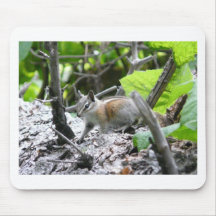 chipmunk mousepad