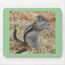 Chipmunk Mousepad