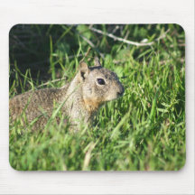 Chipmunk mousepad