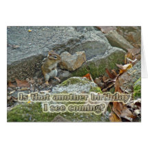 Chipmunk on Rock Birthday Card