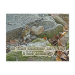 Chipmunk on Rock Items Birthday Post Card
