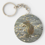 Chipmunk on Rock Items Key Chain