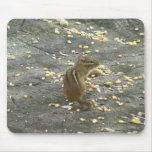 Chipmunk on Rock Items Mouse Pads